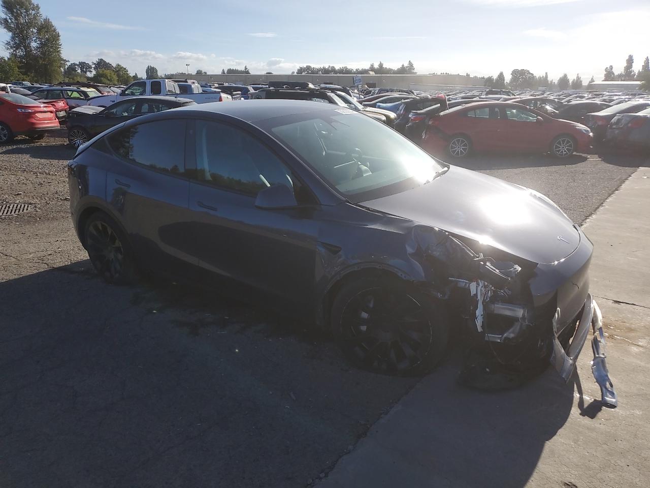 2023 TESLA MODEL Y VIN:7SAYGDEE6PA119497