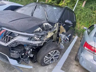 2020 Kia Carnival KNANB81BBMS028316 VIN:KNANB81BBMS028316
