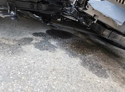 2021 Kia Carnival KNANE81BBMS067853 VIN:KNANE81BBMS067853