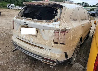 2021 Kia Sorento KNARK81BGMA026012 VIN:KNARK81BGMA026012