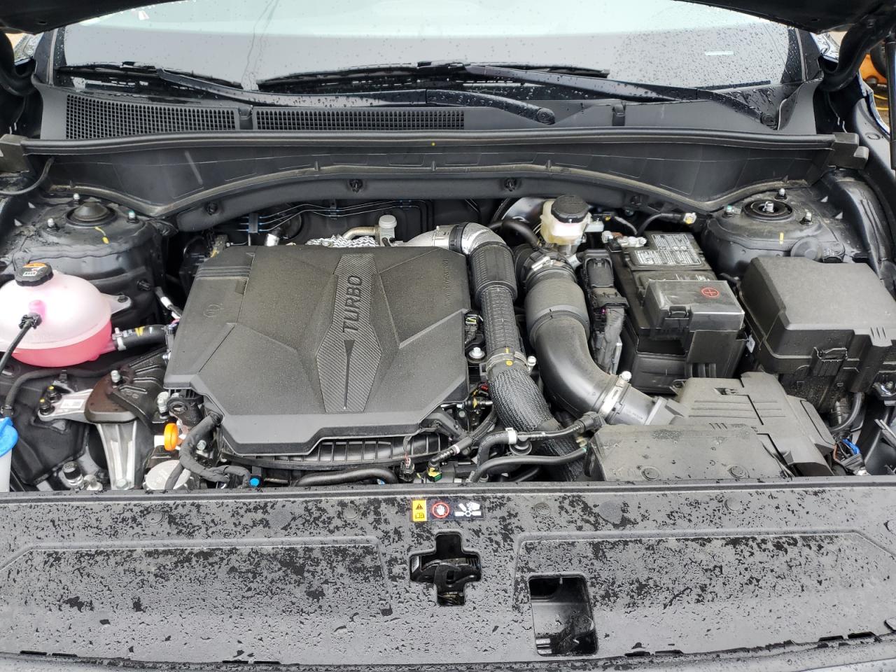 2023 HYUNDAI SANTA FE LIMITED VIN:5NMS4DAL7PH654646