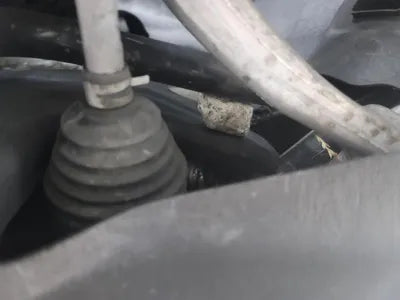 2021 BMW 320 WBA6L5106MFL34501 VIN:WBA6L5106MFL34501