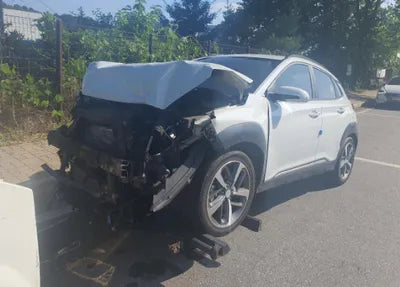 2019 Hyundai Kona KMHK7815GKU427643 VIN:KMHK7815GKU427643