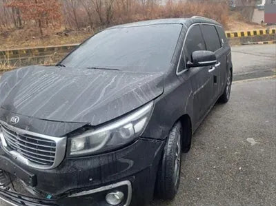 2016 Kia Carnival KNAMB81ABGS178593 VIN:KNAMB81ABGS178593