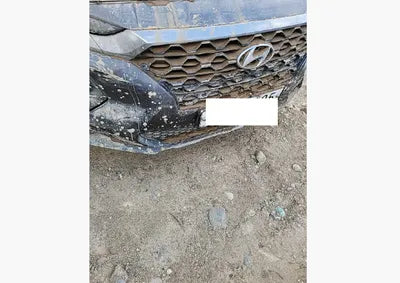 2019 Hyundai Santa FE KMHS381BDKU033487 VIN:KMHS381BDKU033487