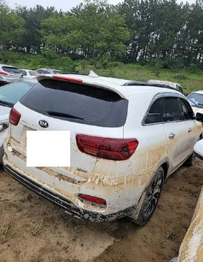 2019 Kia Sorento KNAPK81ABKA486663 VIN:KNAPK81ABKA486663