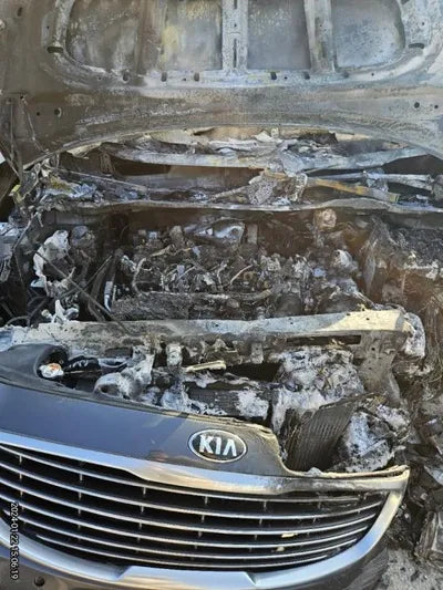 2017 Kia Carnival VIN: