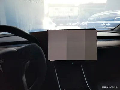 2020 Tesla Model 3 NONE VIN: