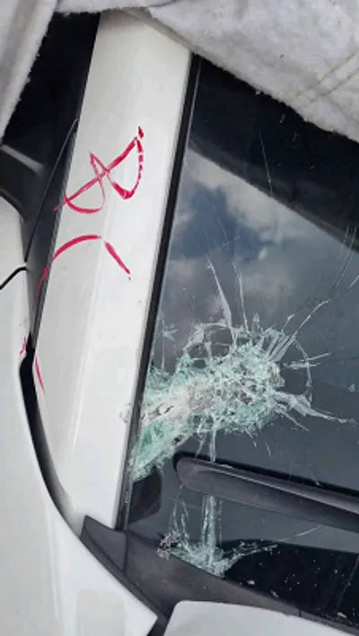 2021 Hyundai Kona KMHK381BEMU769832 VIN:KMHK381BEMU769832