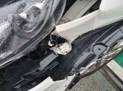 2019 Kia Sorento KNAPS81BDLA636099 VIN:KNAPS81BDLA636099