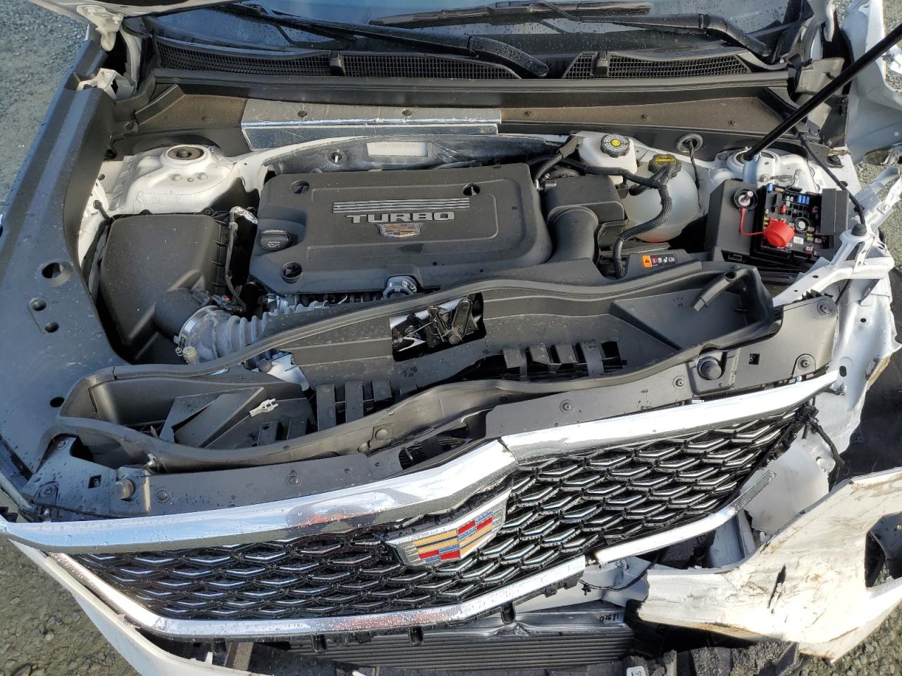 2024 CADILLAC XT4 PREMIUM LUXURY VIN:1GYFZCR47RF187586