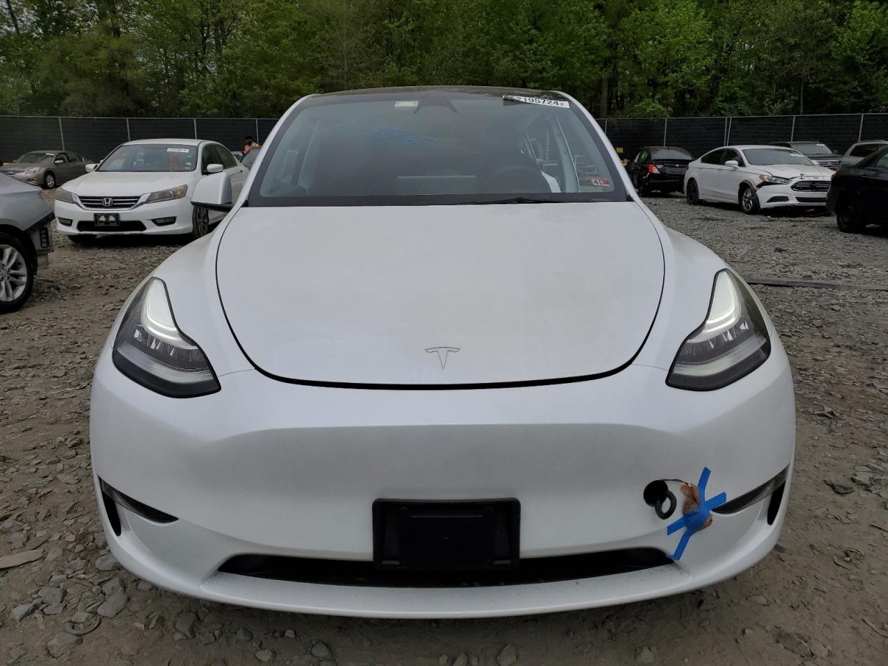 2023 TESLA MODEL Y  VIN:7SAYGDEE9PA103777