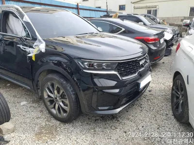 2021 Kia Sorento KNARH81BGNA118922 VIN:KNARH81BGNA118922