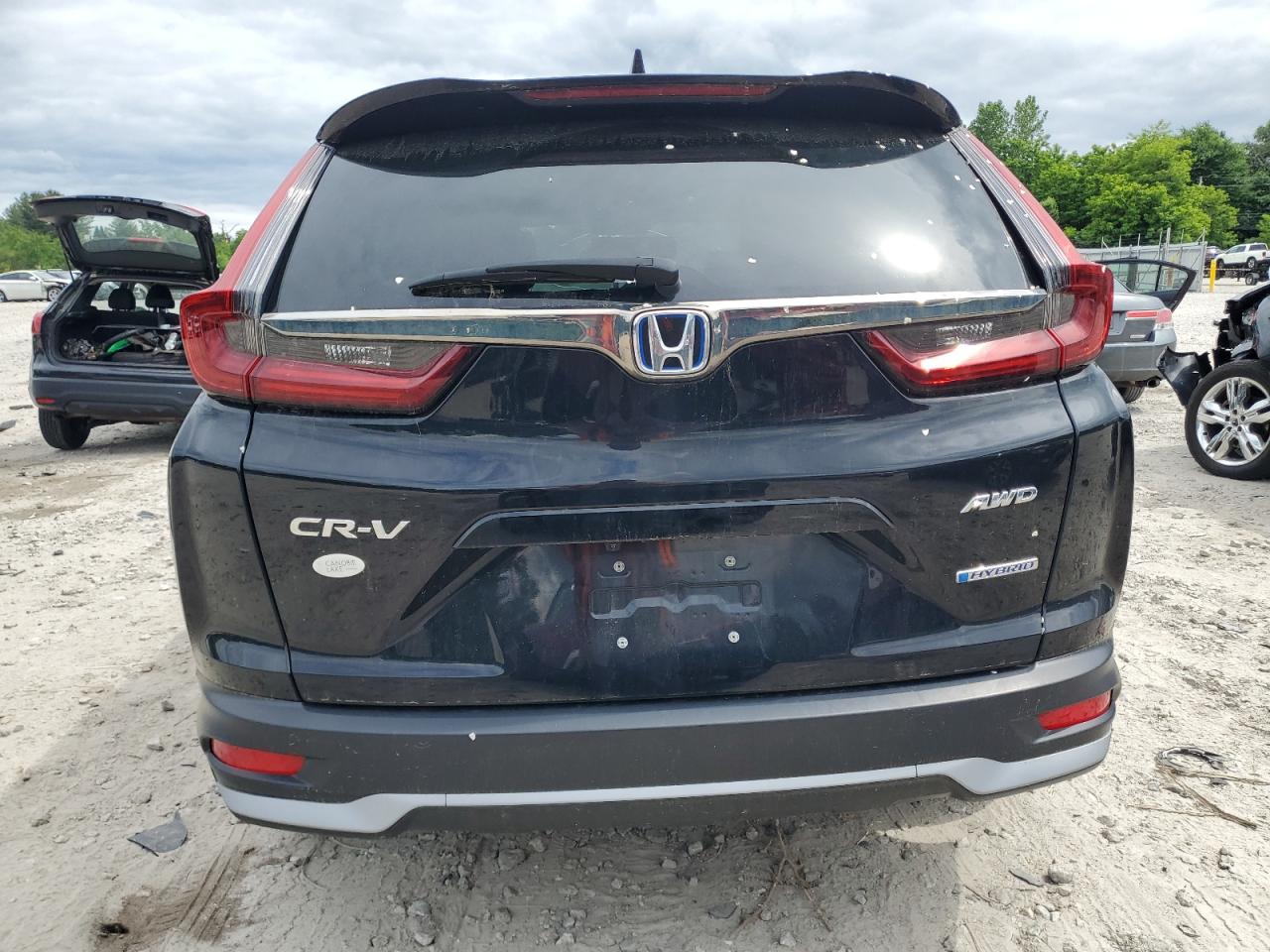 2022 HONDA CR-V EXL VIN:5J6RT6H81NL013397