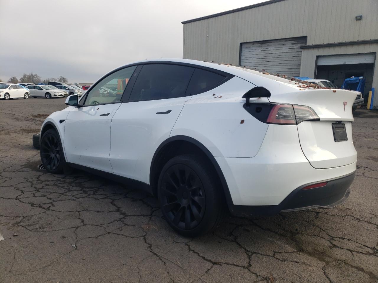 2024 TESLA MODEL Y  VIN:7SAYGAEE7RF077443