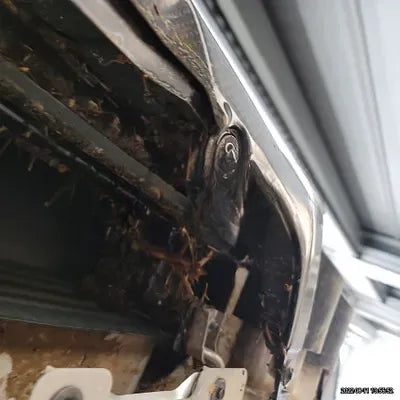 2021 BMW X4 M NONE VIN: