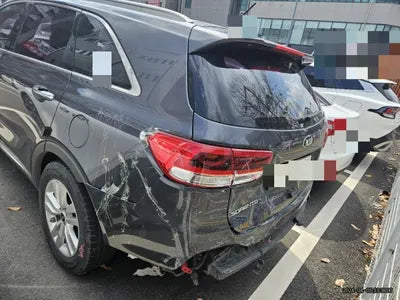 2016 Kia Sorento KNAPS81ABGA263117 VIN:KNAPS81ABGA263117