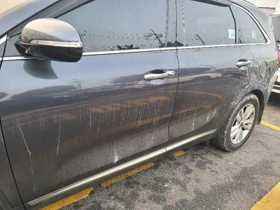 2016 Kia Sorento KNAPS81ADGA269800 VIN:KNAPS81ADGA269800