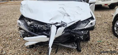 2020 Toyota Camry JTNB21HK0L3081952 VIN:JTNB21HK0L3081952