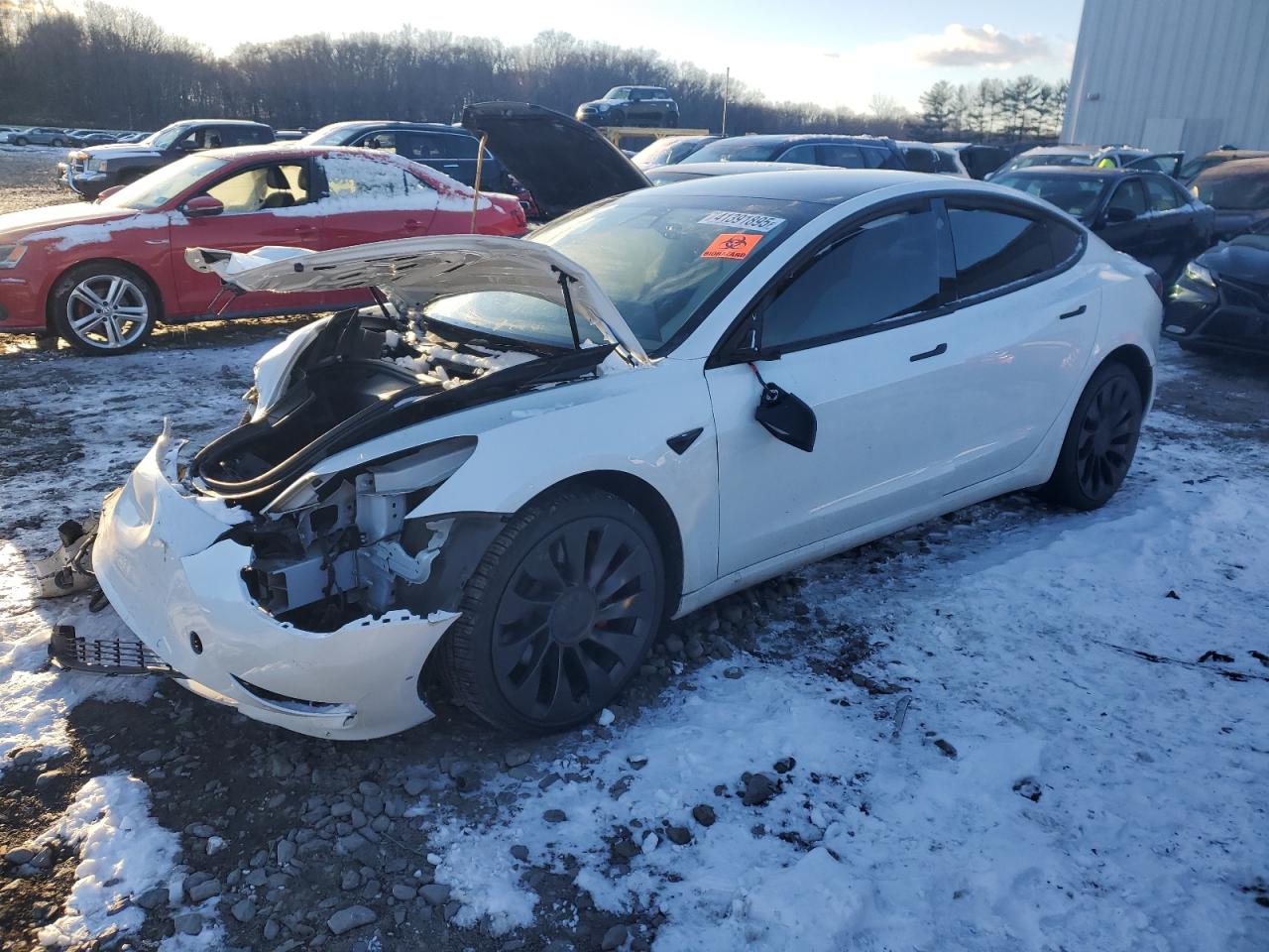 2022 TESLA MODEL 3  VIN:JS1GP74A492100135