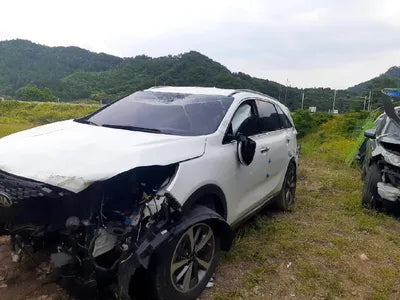 2019 Kia Sorento 657KMKNAPG81ABKA5 VIN:657KMKNAPG81ABKA5