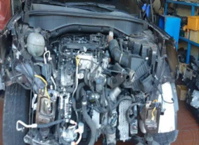 2021 Kia Sorento KNARJ81BGMA025300 VIN:KNARJ81BGMA025300
