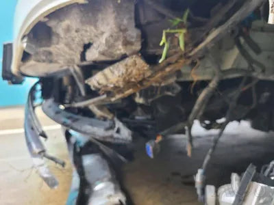 2017 Kia Carnival VIN: