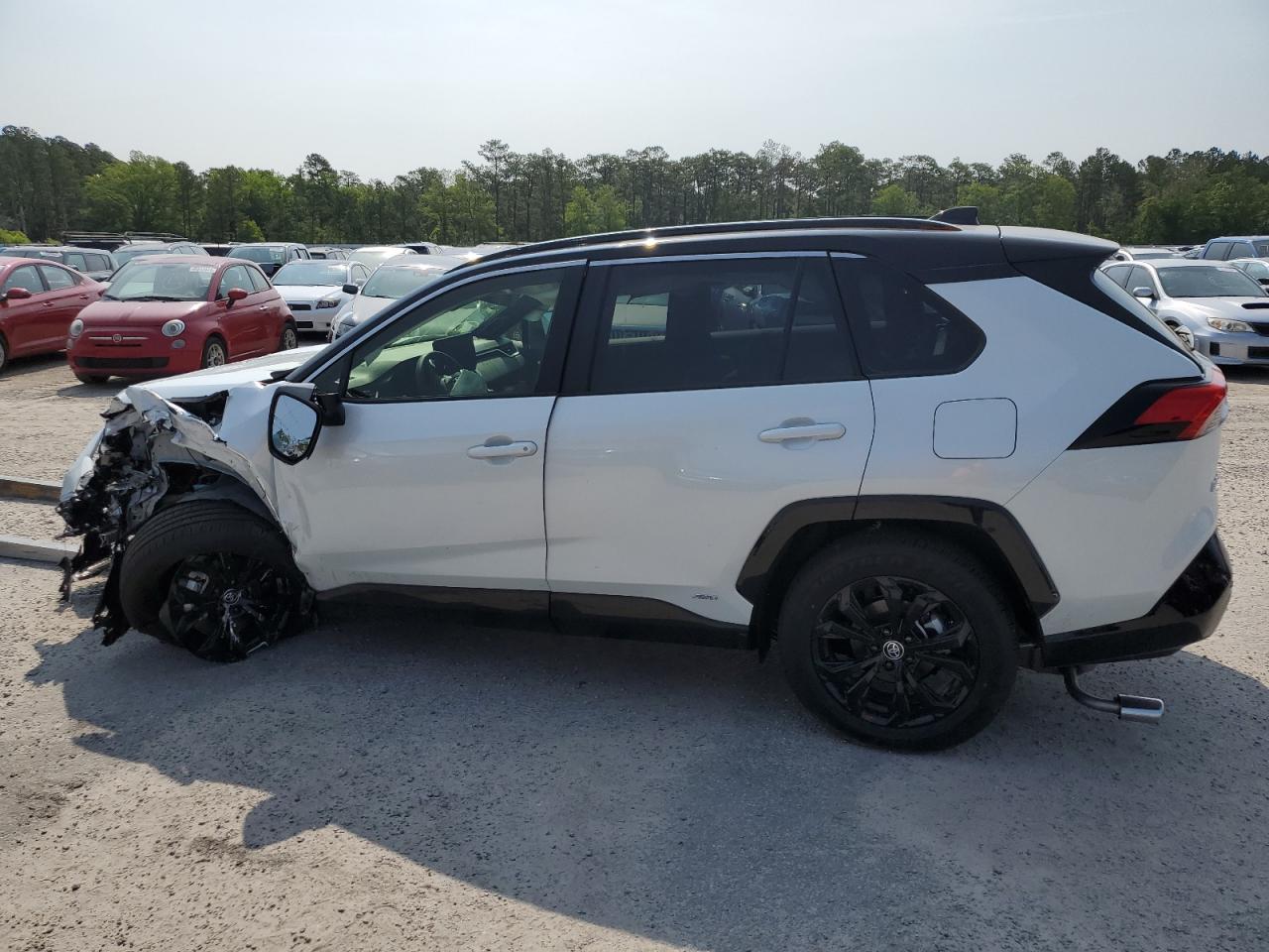 2024 TOYOTA RAV4 XSE VIN:JTME6RFV1RJ050988