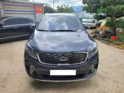 2020 Kia Sorento KNAPS811BLA625933 VIN:KNAPS811BLA625933