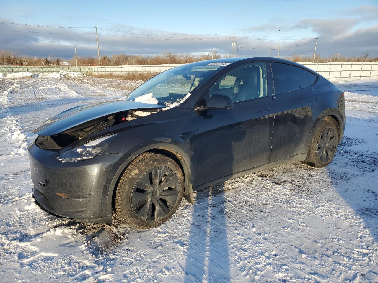 2024 TESLA MODEL Y  VIN:7SAYGDED5RF016181