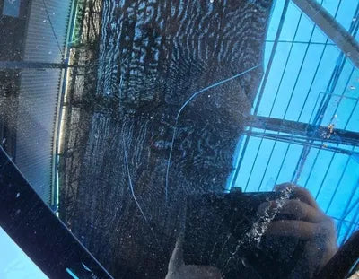 2021 Genesis G80 VIN: