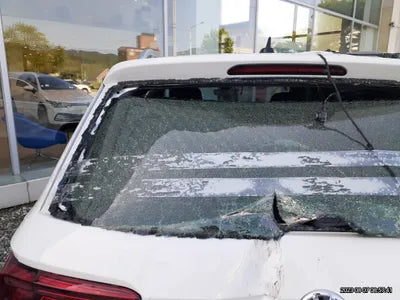 2020 Volkswagen Tiguan WVGZZZ5NZLW909219 VIN:WVGZZZ5NZLW909219