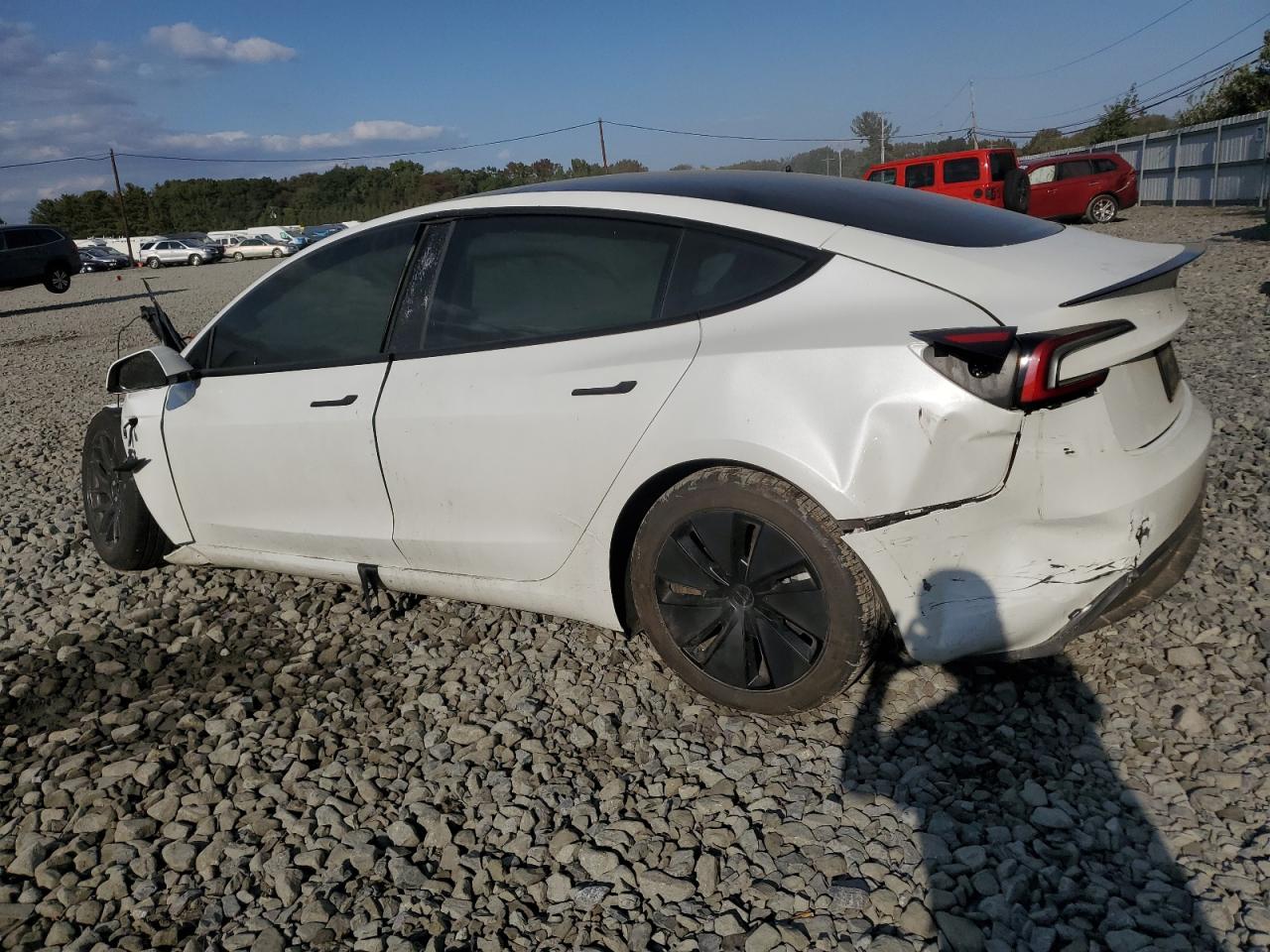 2024 TESLA MODEL 3  VIN:5YJ3E1EB1RF790289