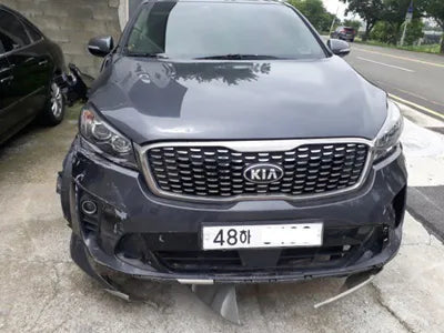 2018 Kia Sorento KNAPG81ABKA501203 VIN:KNAPG81ABKA501203