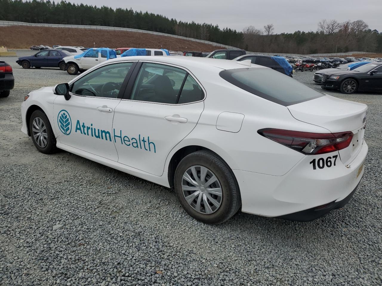 2023 TOYOTA CAMRY LE VIN:4T1C31AK5PU600571