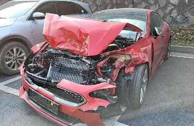 2020 Kia Stinger KNAE351ABLS086483 VIN:KNAE351ABLS086483