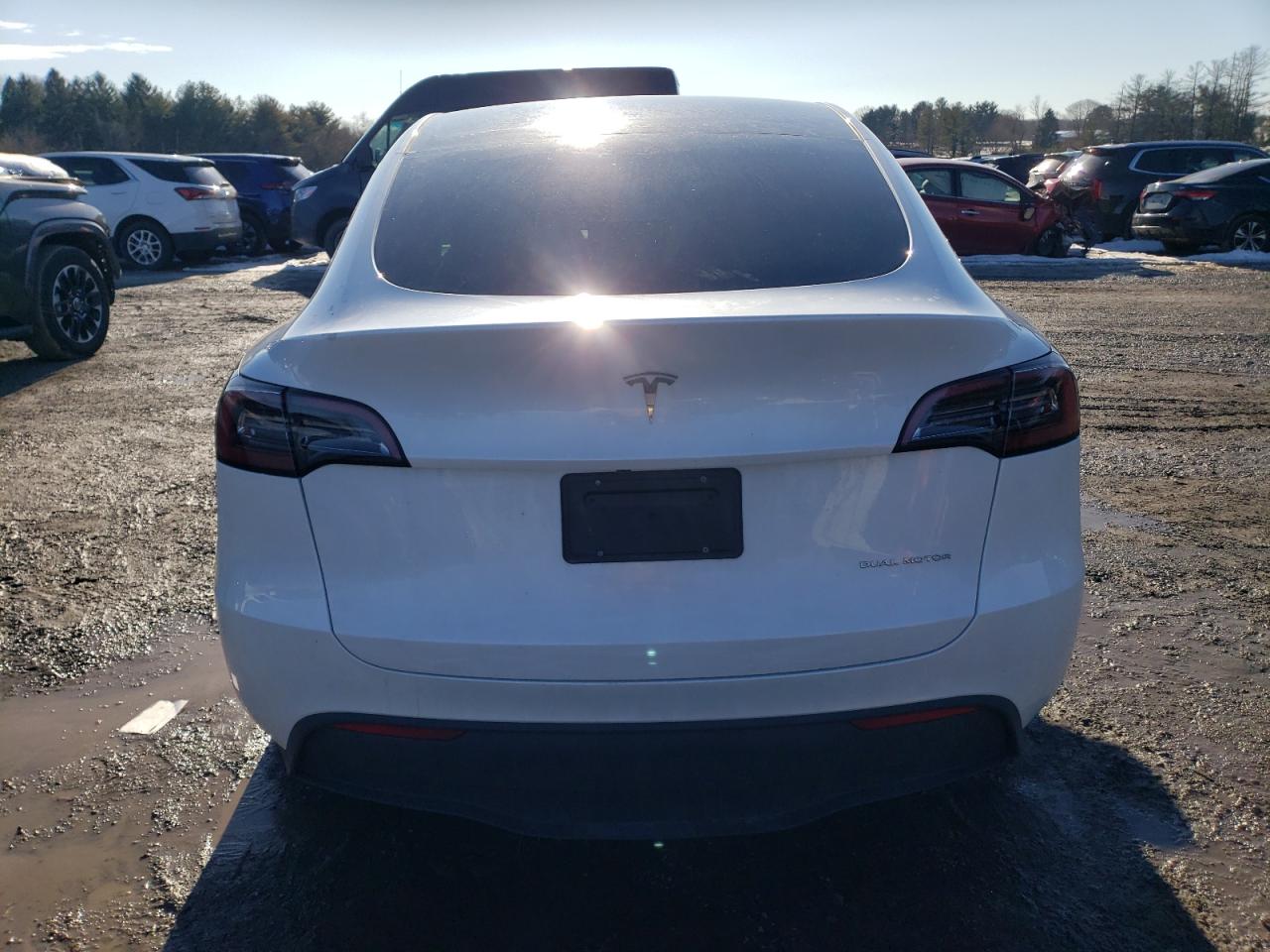2023 TESLA MODEL Y  VIN:7SAYGDEE7PA105995