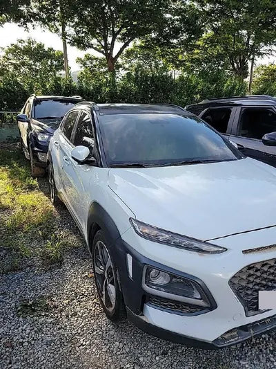 2018 Hyundai Kona KMHK3816GJU205522 VIN:KMHK3816GJU205522