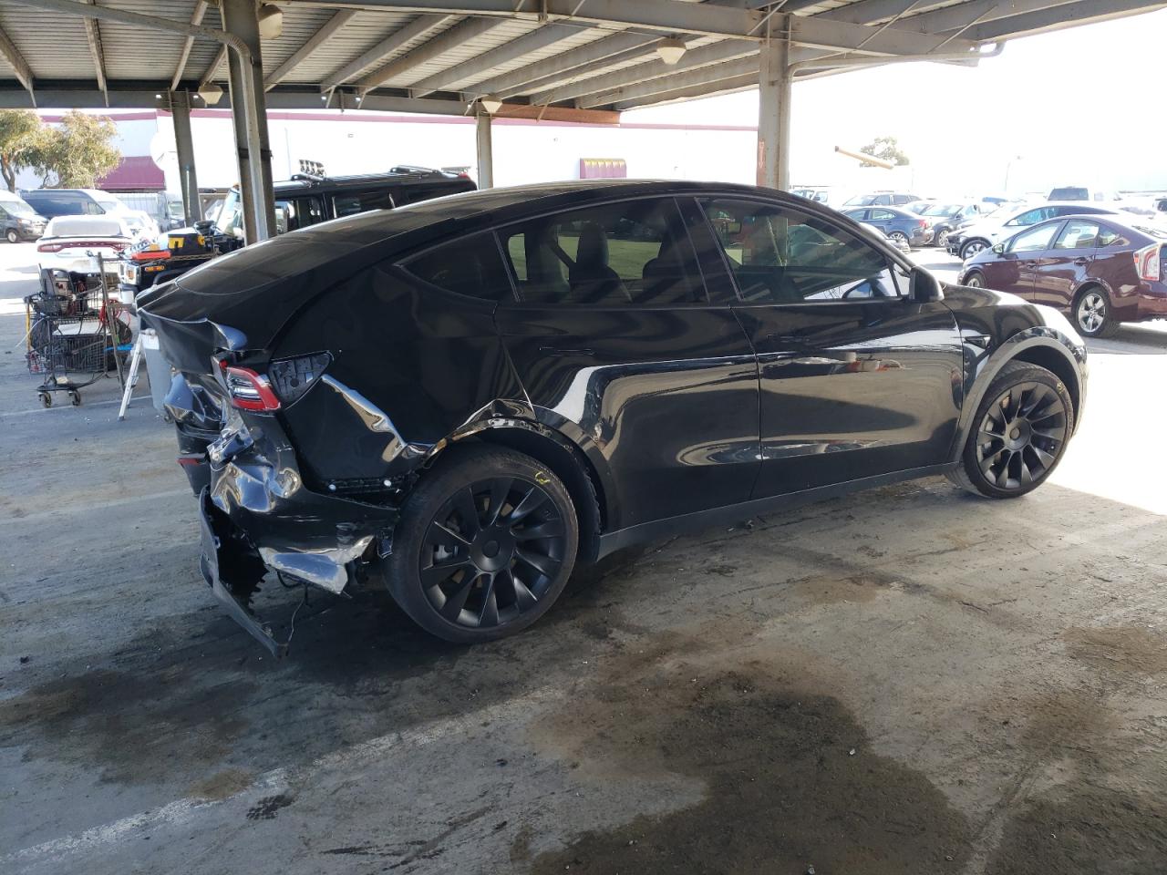 2023 TESLA MODEL Y  VIN:7SAYGAEEXPF772075