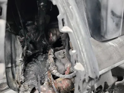2021 Kia Sorento KNARH81BHMA048343 VIN:KNARH81BHMA048343