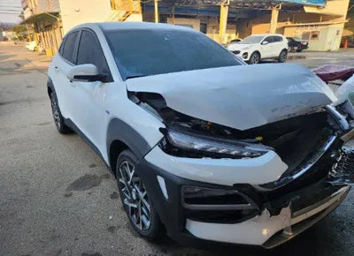2020 Hyundai Kona KMHK381EGLU028060 VIN:KMHK381EGLU028060