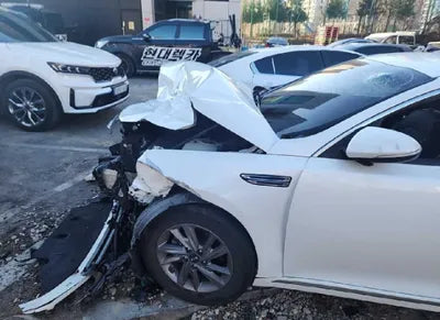 2019 Kia K5 KNAGU416BKA294851 VIN:KNAGU416BKA294851
