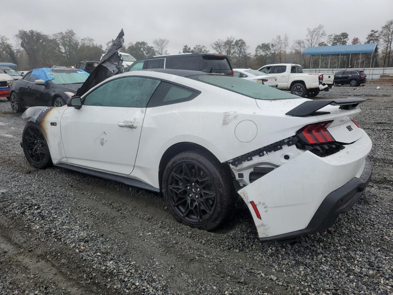 2024 FORD MUSTANG GT VIN:1FA6P8CF5R5405930