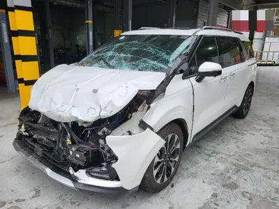 2021 Kia Carnival KNANC81BBMS128216 VIN:KNANC81BBMS128216
