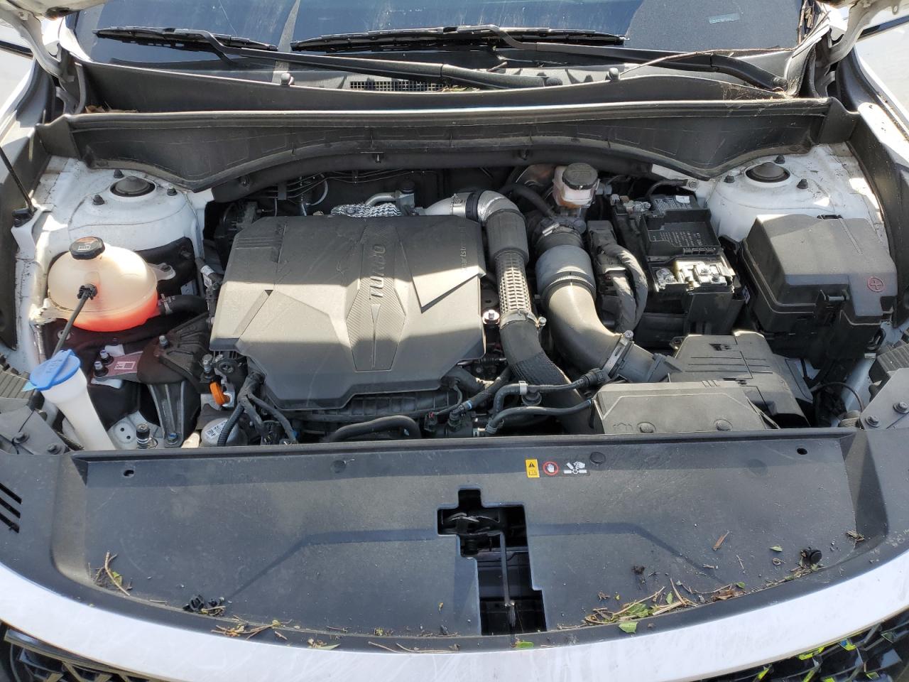 2022 KIA SORENTO SX VIN:5XYRK4LF7NG120341