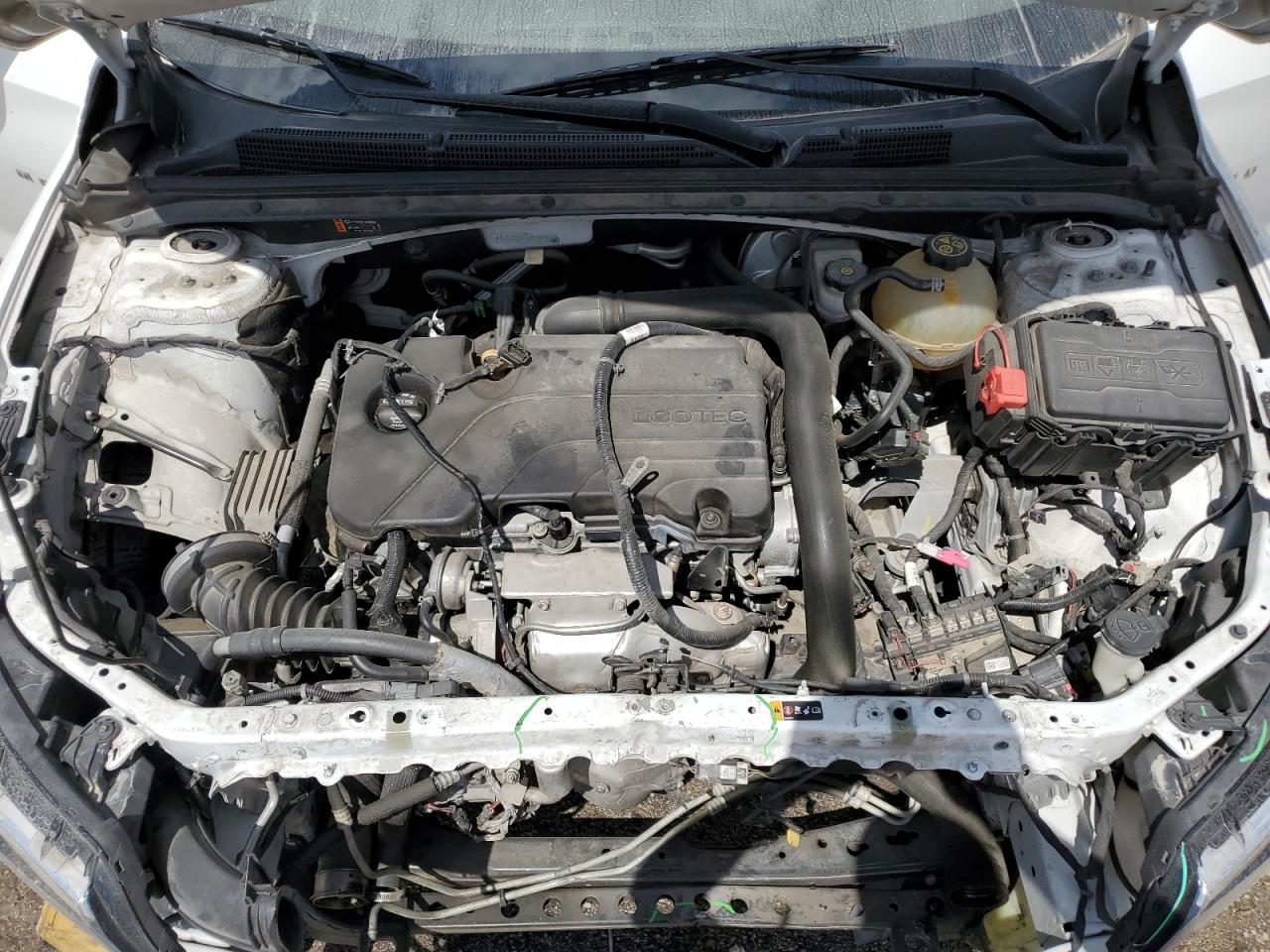 2023 CHEVROLET MALIBU LT VIN:1G1ZD5ST1JF209304