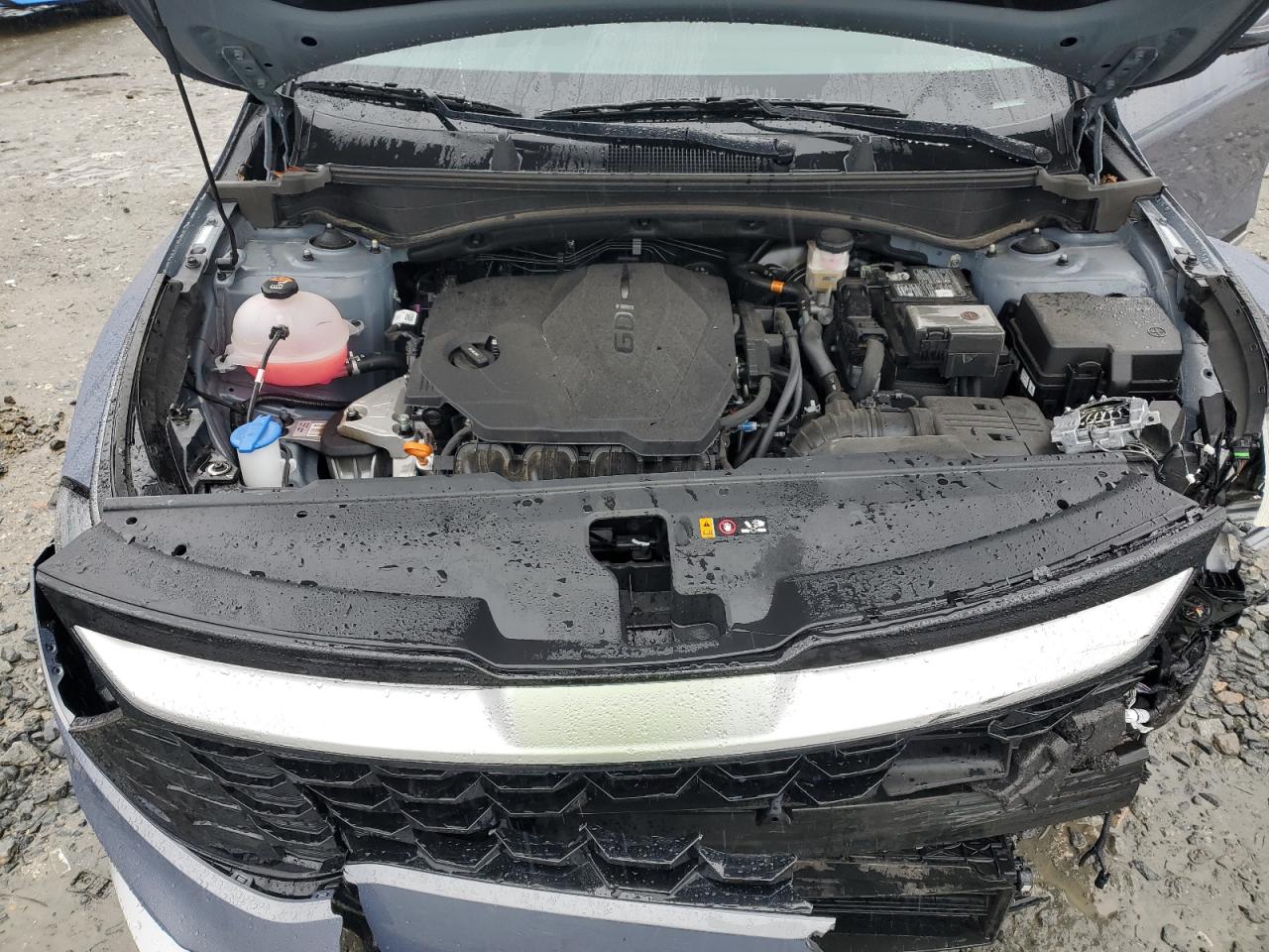 2024 KIA SPORTAGE EX VIN:5XYK33DF3RG205559