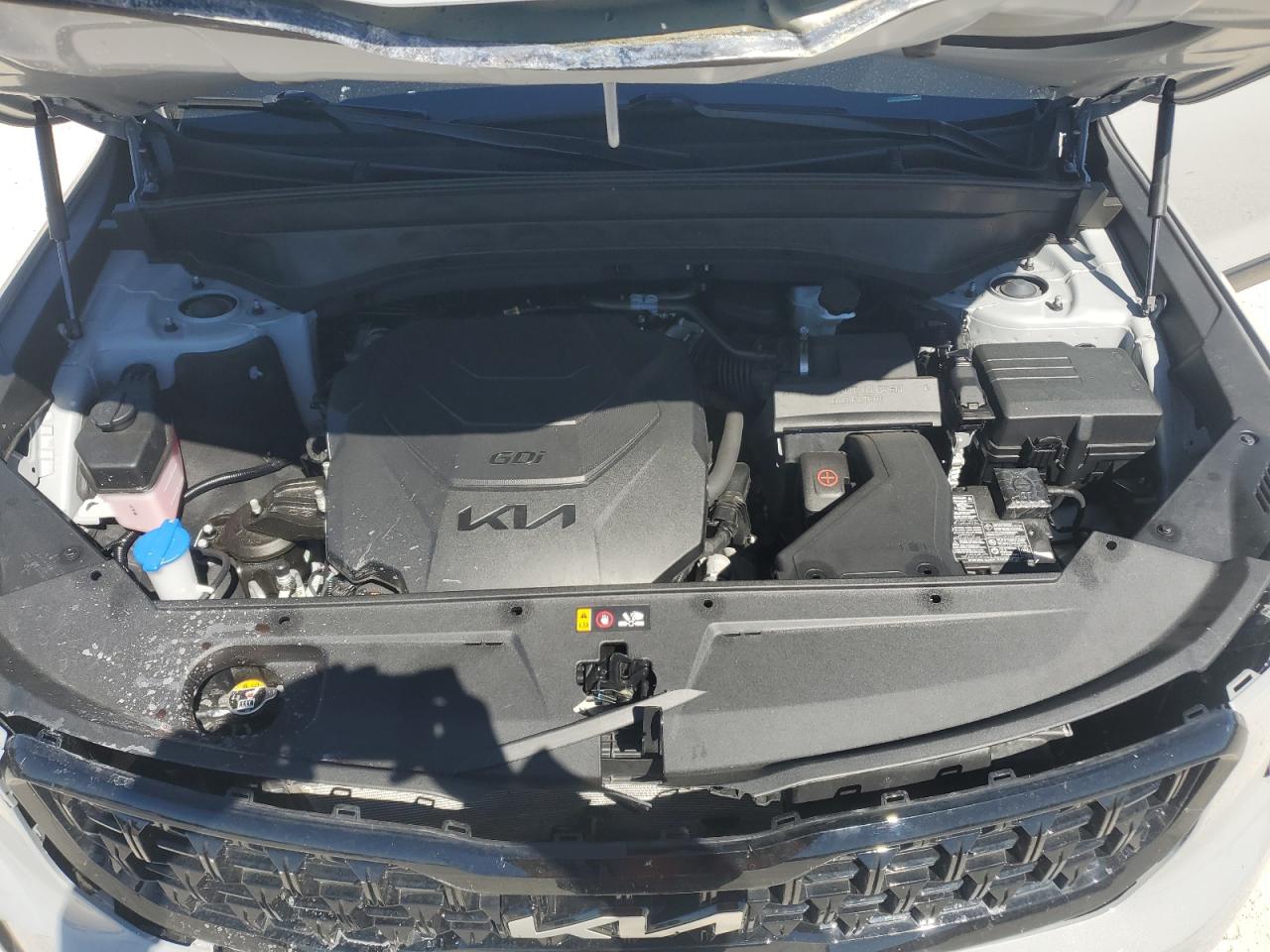 2024 KIA TELLURIDE EX VIN:5XYP3DGC7RG429690