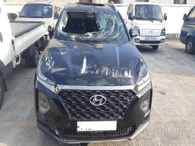 2019 Hyundai Santa FE KMHS281BBLU262622 VIN:KMHS281BBLU262622