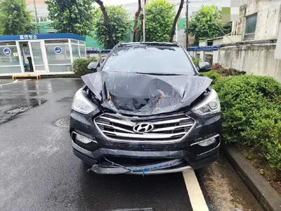 2018 Hyundai Santa FE KMHSW81UBJU861264 VIN:KMHSW81UBJU861264